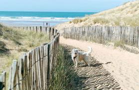 Appartement 2 pièces dans résidence bord de mer aux Sables d'Olonne - Foto 18