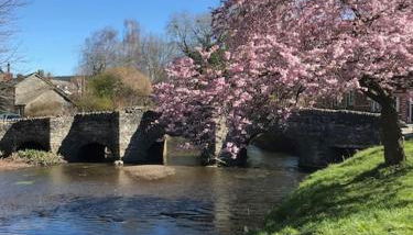 Lavender Cottage, 3 School Road, Clun, Shropshire - Foto 4