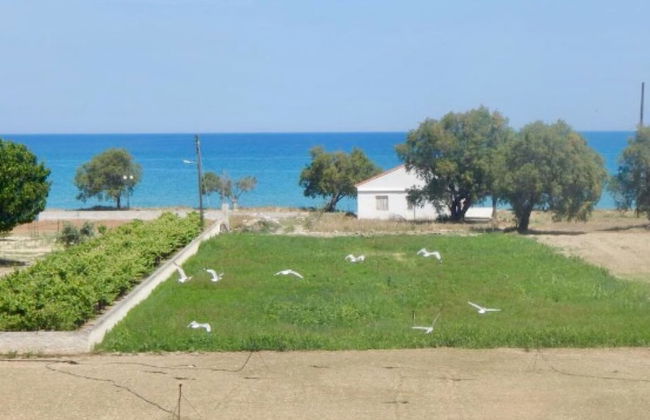 Martimi's Apartments - Photo 13