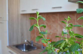 Apartment Marlena - Foto 14