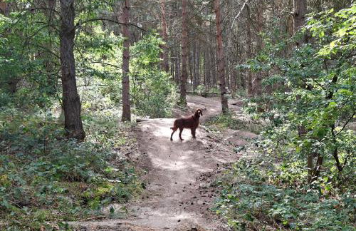 Ferienwohnung 2 Familie Siegl - Photo 25