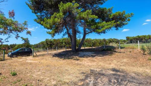 Apartments by the sea Cove Kurila, Losinj - 24571 - Foto 5