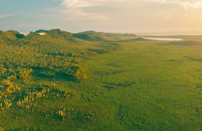 Crucero de serenidad por los Everglades de Noosa - Medio día - Foto 6