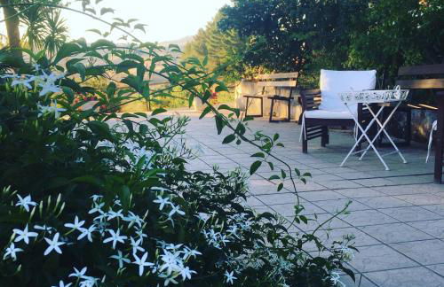 Ciuci's Manor - Foto 27