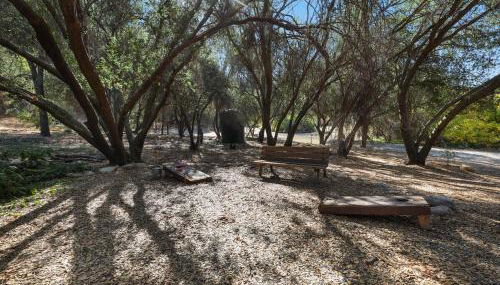 Bear Hollow by Sequoia National Park - Foto 5