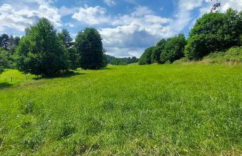 Fewo Rehblick im Wander und Mountainbike Paradies Odenwald - Photo 48