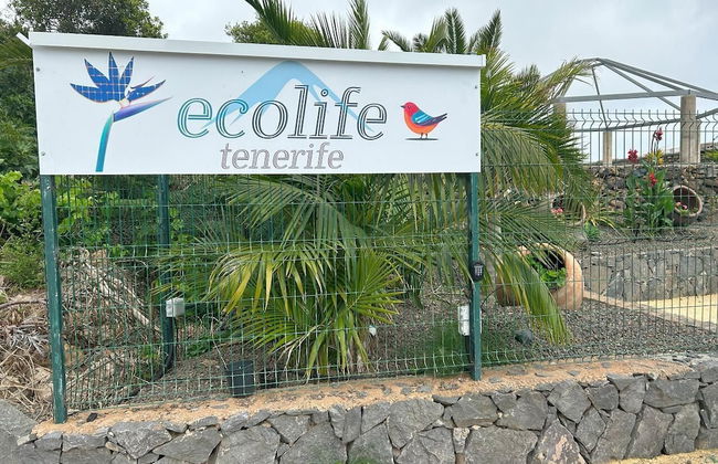 ECOLIFE TENERIFE HOUSES - Foto 1