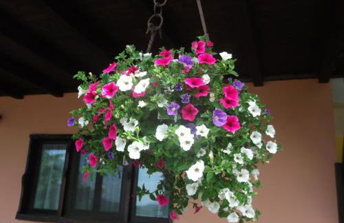 Agriturismo Le Giare - Photo 28