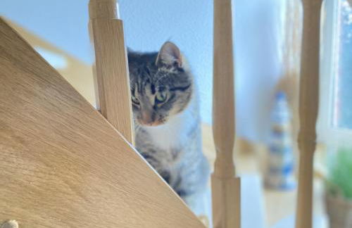 Ferienwohnung Poeler Koje - Foto 28