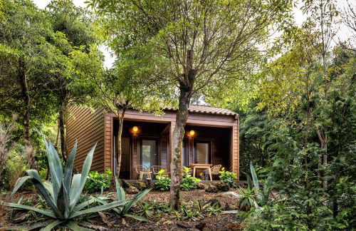 Alma do Pico - Nature Residence - Photo 59