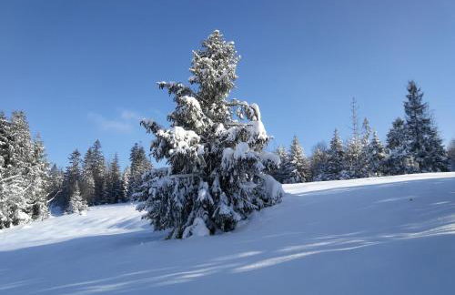 2chałupy - apartamenty w Soli - Foto 71