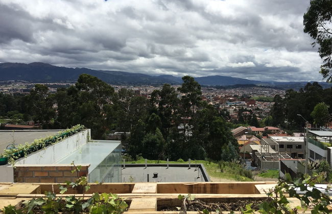 Bambu Sierra - Photo 66