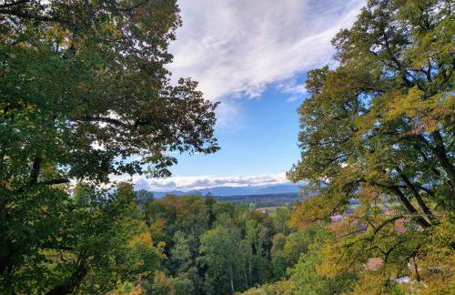 Fürstlich Wohnen im Herrenhaus - Foto 39