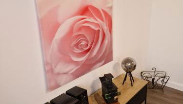 Maison charmante quartier historique - Photo 2