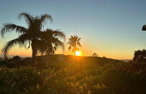 Monte Borboleta - Villas, Apartments - Foto 33