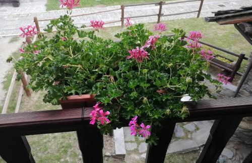 Maison Cenne Vda Gressan n 0030 - Foto 18