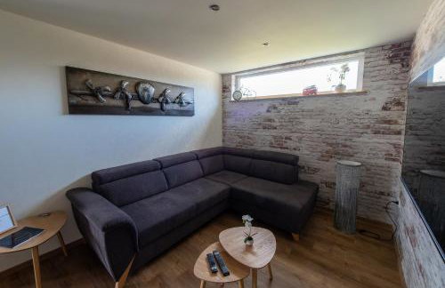 Gite Junior L'Ecrin du Ried PROCHE EUROPA-PARK - Foto 12