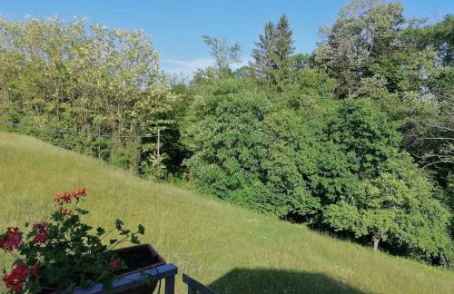 La soffitta di Anita - Foto 19