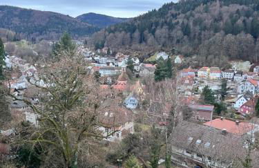 Black Forest Panorama Loft mit Pool - Foto 14