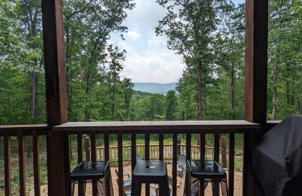 Hasty Cutoff Cabin - Foto 68