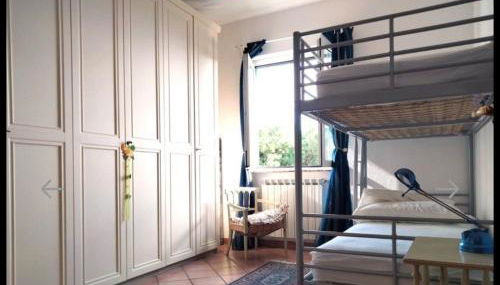 Red Squirrels - Foto 3