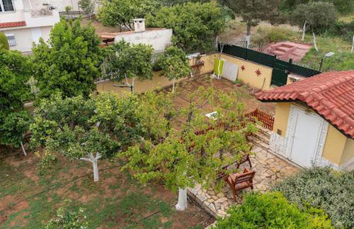 Yellow house - Foto 21