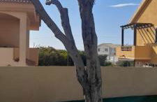 Appartamento residence Tartaruga 3 - Foto 7