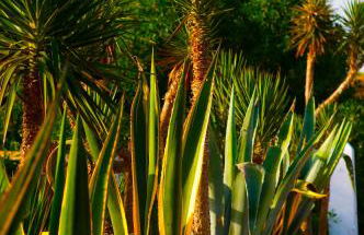 Casara Seis o Casara Siete - Tu casa a 100m de la playa de Zahora - Foto 42