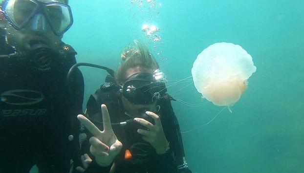 Profitez des fonds marins d'Ubatuba