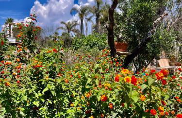 Trulli delle succulente - Foto 49