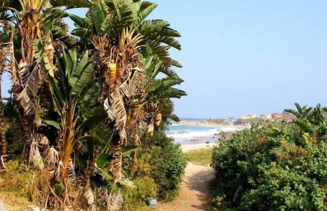 Rosscarbery 7 - Photo 15