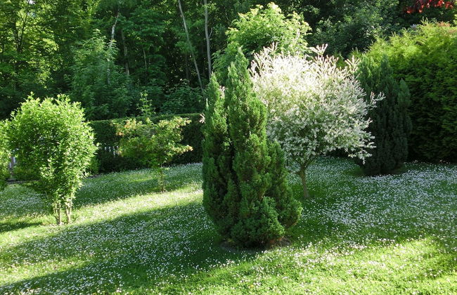 Group Hideaway With Pool - Photo 35