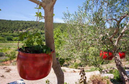 EASY HOLIDAY - Foto 47