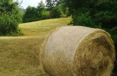 La corte dei Petrani mansarda in val Borbera - Foto 42