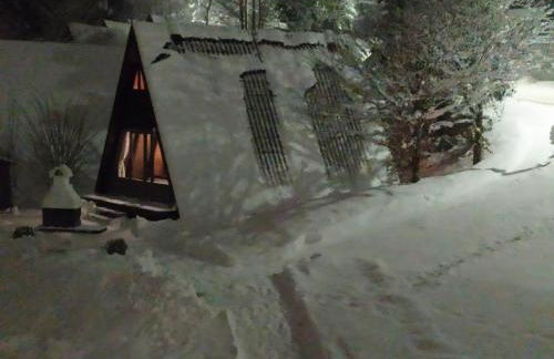 Freyunger Nurdachhaus - Foto 9