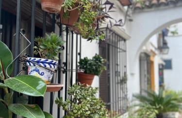 Nueva Córdoba Judería - Foto 20