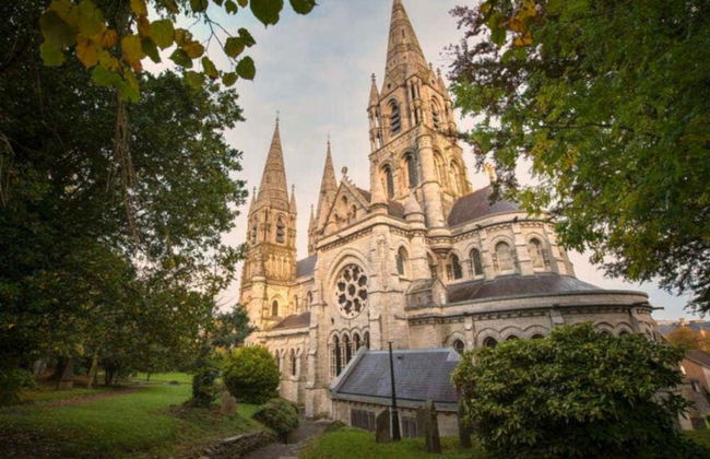 Autobus turistico di Cork - Foto 2