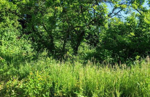 The Van Gogh Apartment - a cozy, creative retreat - Foto 58