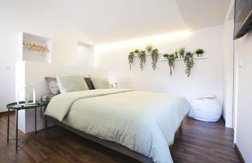 Alegria Cool House - Photo 22
