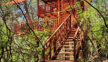 TreeHouses Ljubač Glamping Robinson - Foto 1