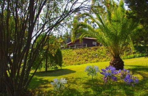 Douro Charming Chalet - Foto 21