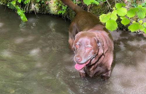 Kabin in the woods with Hot Tub - Foto 75