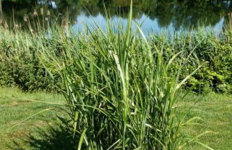 Apartment Landromantik mit traumhaftem Seeblick by Interhome - Foto 25