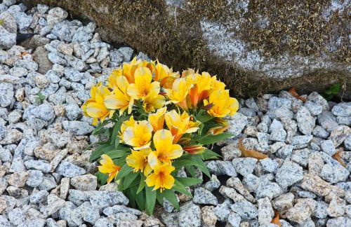 Casa dos arcos - Foto 78