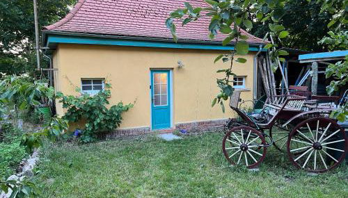 Radstation Menz - Foto 2, Garden