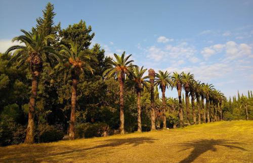 Relax Zone Apartment - Photo 19