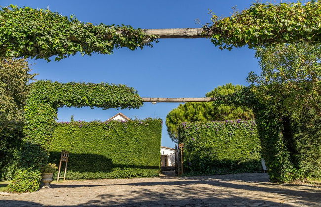 Country - Quinta Completa - Foto 46