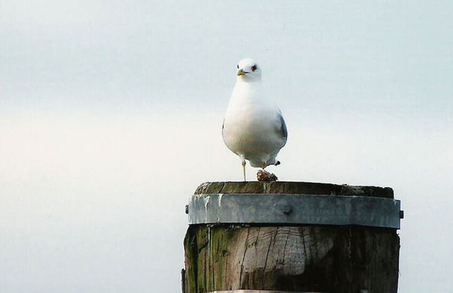 "lee" in House Smaswai 10 - Foto 20