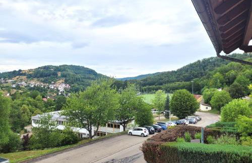 4 Zimmer geräumige und ruhig gelegene Ferien- und Monteurwohnung nur für Sie allein AUjvari Vermietungen - Foto 28