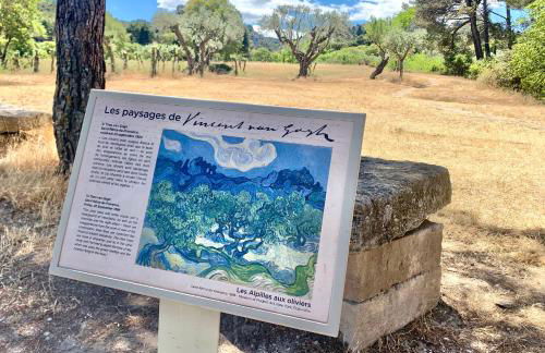 L'ALPILLE - Maison de vacances située à 10 mn à pied du centre ville de St Rémy avec place de parking privative - Foto 21